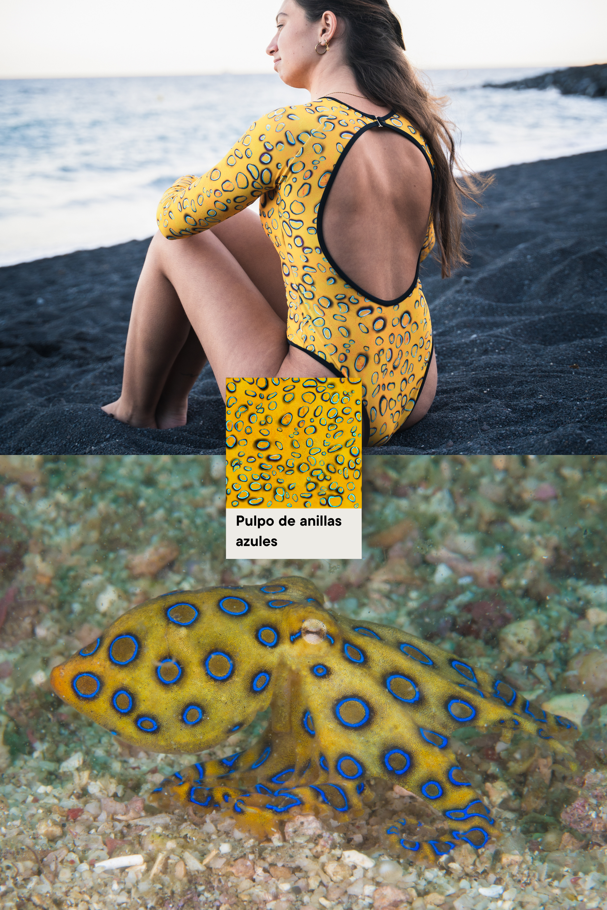 Bañador Surf Manga Larga - Pulpo Anillos Azules