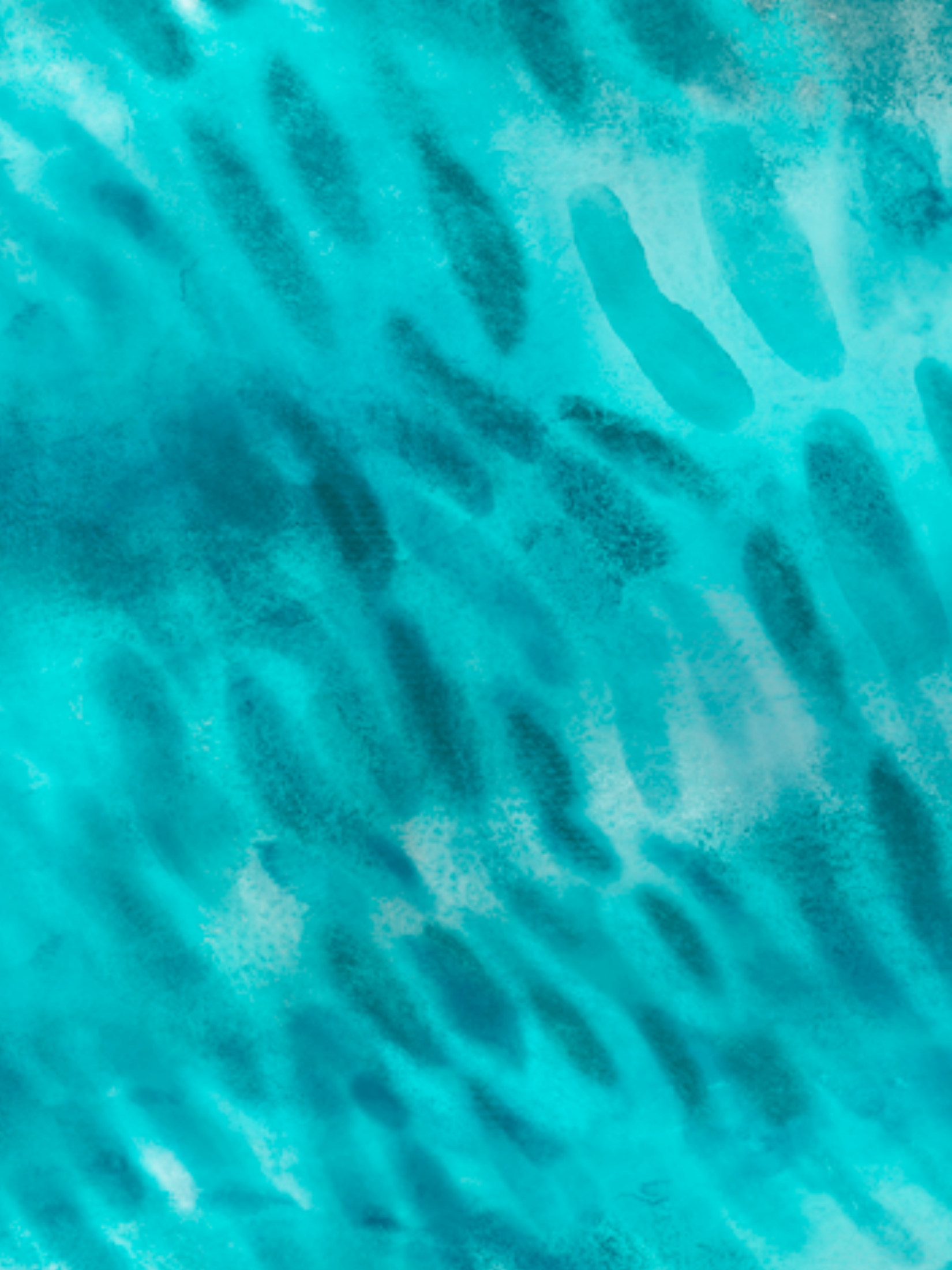 Maillot de bain Surf à Manches Longues Requin Tigre - Tons Turquoises