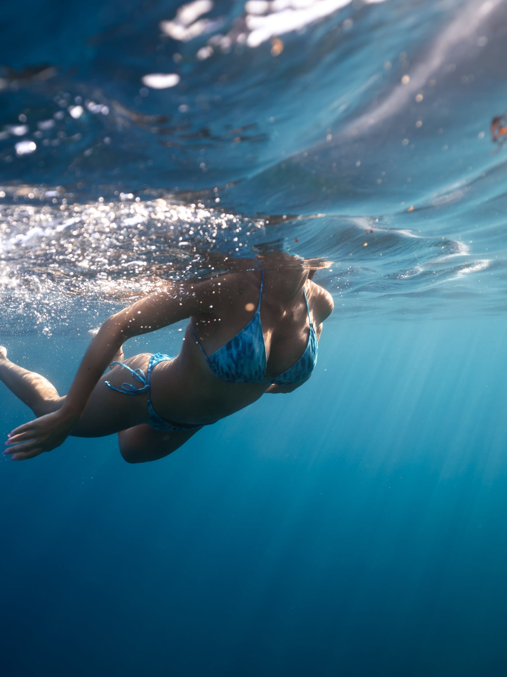 Bikini Haut Tigerhai (Bläuliche Töne)