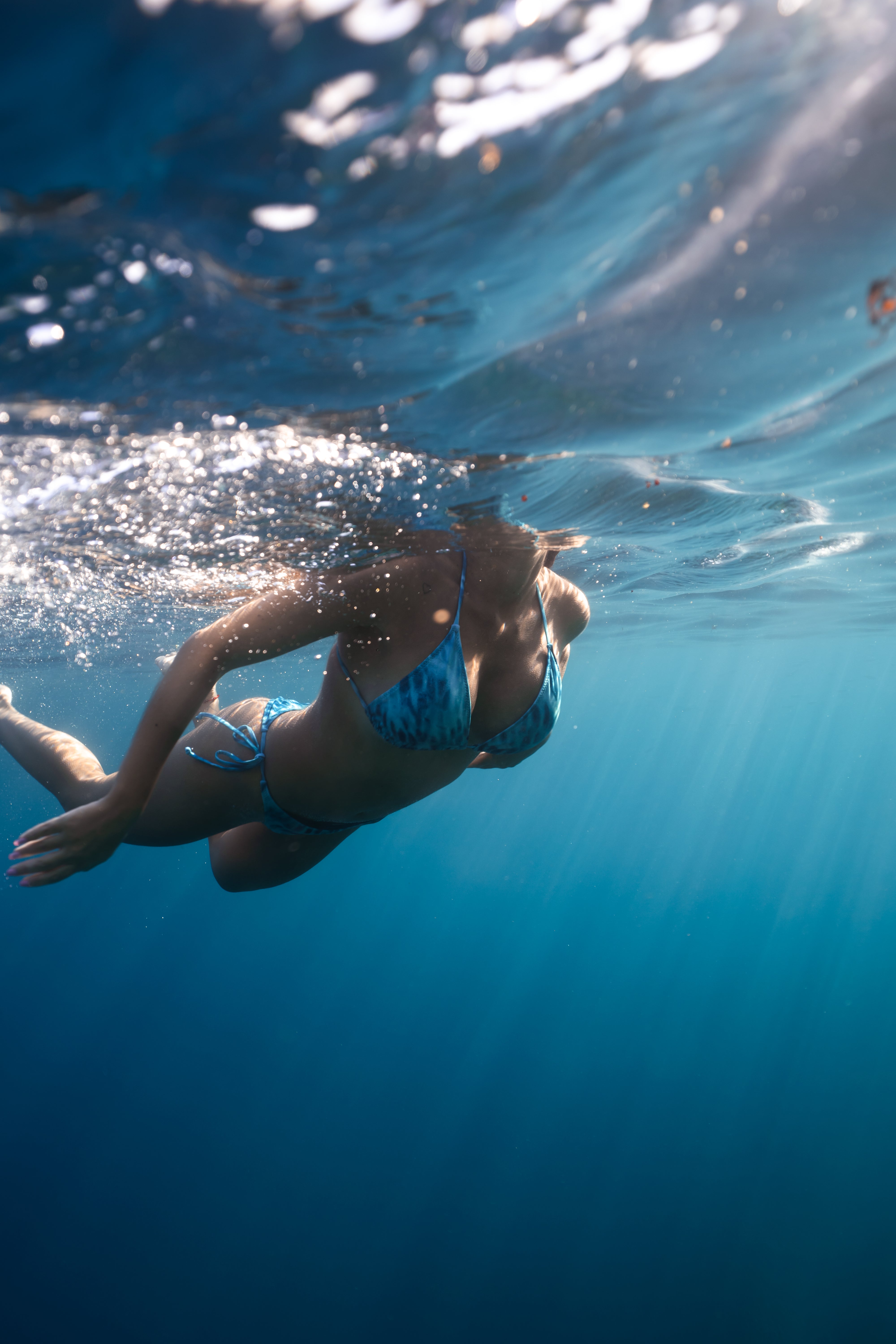 Bikini Piel Tiburón Tigre (Tonos azulados)