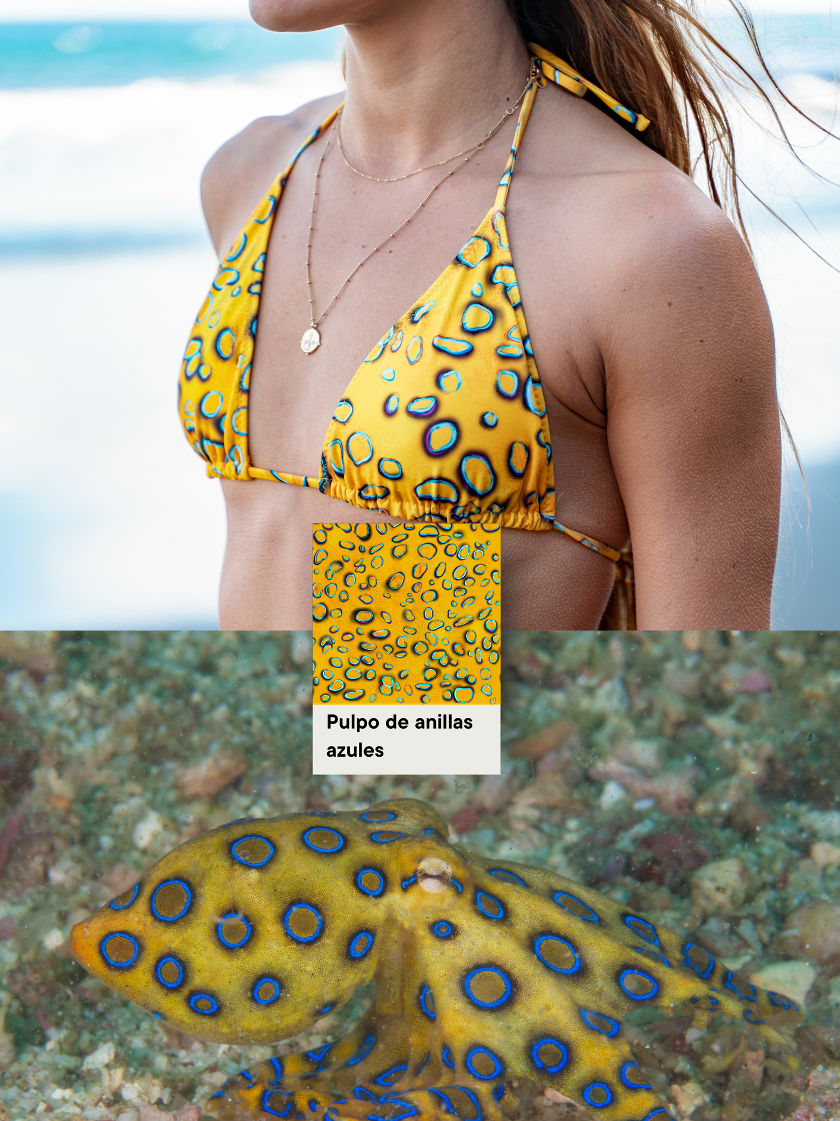 Bikini Haut Oktopus