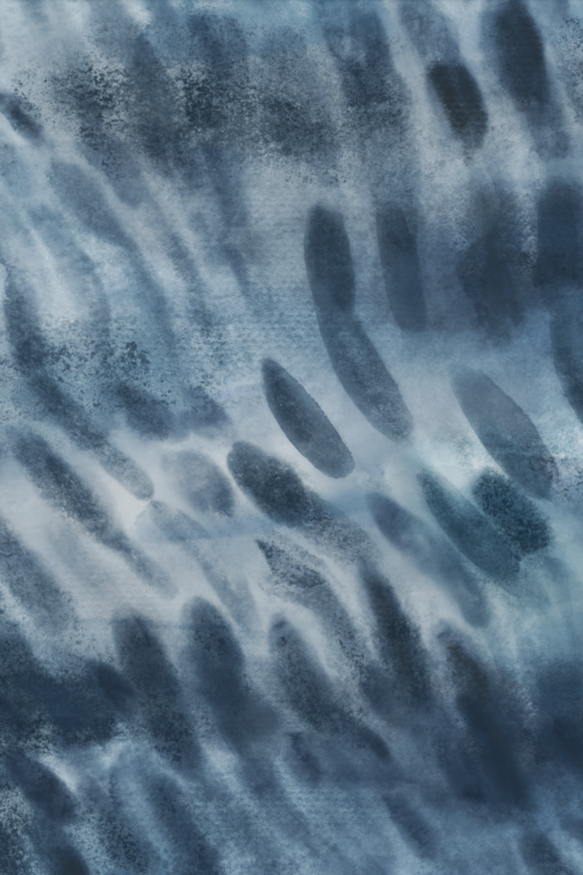 Bañador Surf Manga larga Tiburón Tigre - Tonos Grisáceos