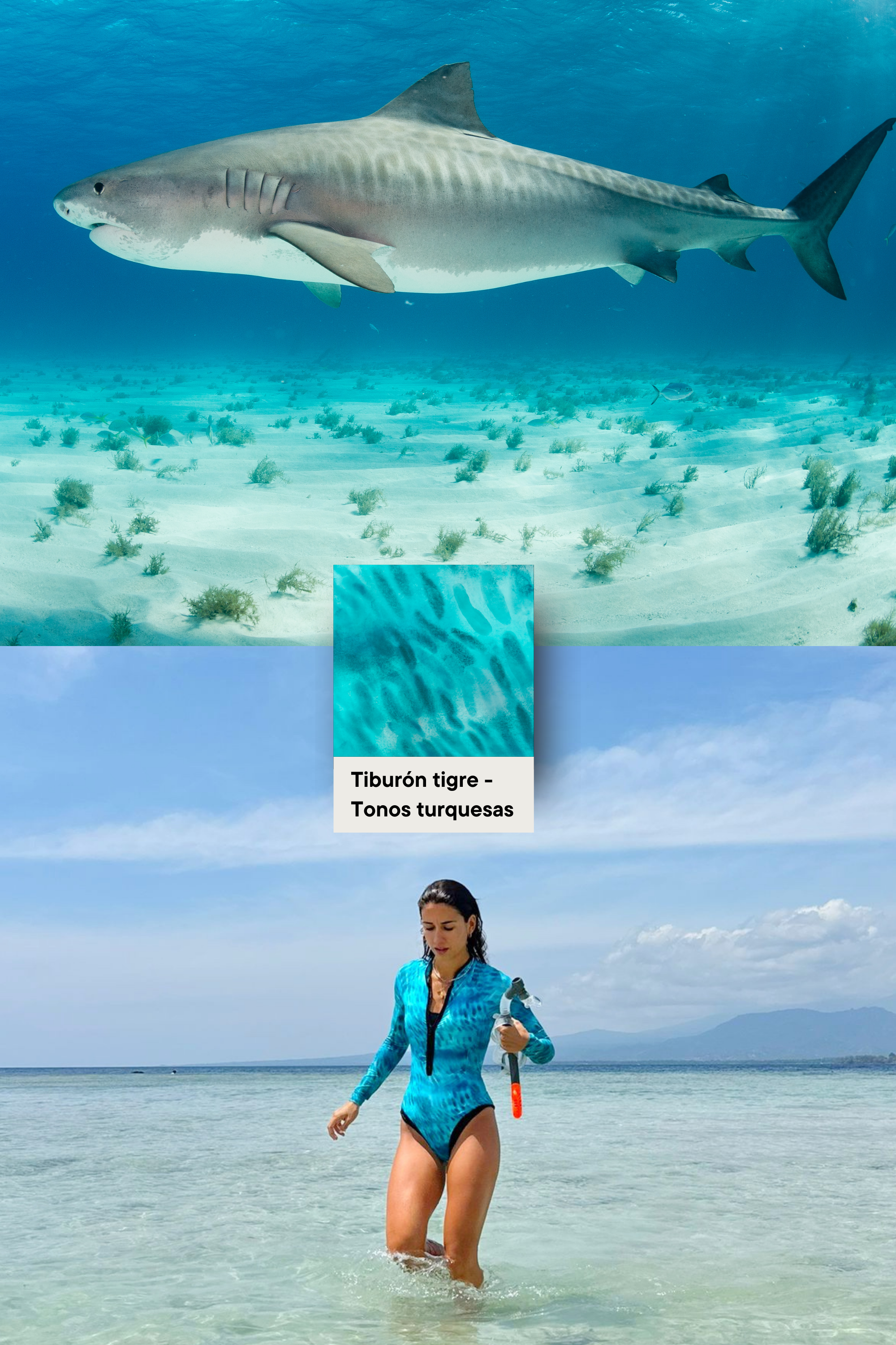 Bañador Surf Manga Larga Tiburón Tigre - Tonos Turquesas